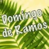 💐 domingo de ramos 💐 12