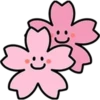 Flores 9