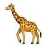 animals 2 mov 14