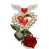 🌞m᥆rᥒіᥒg & 𝖿ᥣ᥆ᥕᥱrs🌹 14