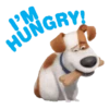 The Secret Life of Pets🐕 12