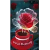 🌞m᥆rᥒіᥒg & 𝖿ᥣ᥆ᥕᥱrs🌹 16