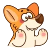 Perrito korgi 1 🐕 MOV 🇲🇽 12