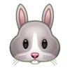 animals 2 mov 21