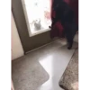 Más Gatitos 10 (Mov) 14