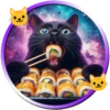 Gatitos tiernos💞5🇵🇪Movi 19