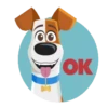 The Secret Life of Pets🐕 14