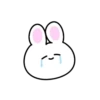 Mini white rabbit mov 14