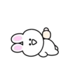 Mini white rabbit mov 15