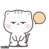Cutie Cat-Chan Two by @wontae 16