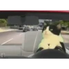 Más Gatitos 10 (Mov) 17