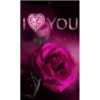 🌞m᥆rᥒіᥒg & 𝖿ᥣ᥆ᥕᥱrs🌹 18