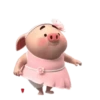 Cerdito lindo 2 17