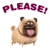 The Secret Life of Pets🐕 18