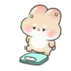 💮🐇 GoRoRoNg RaBbIt 🐇💮 14