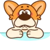 Perrito korgi 1 🐕 MOV 🇲🇽 16
