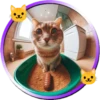Gatitos tiernos💞5🇵🇪Movi 21