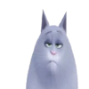 The Secret Life of Pets🐕 19