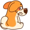 Perrito korgi 1 🐕 MOV 🇲🇽 17