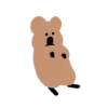 🐀 BrOwN MoUsE 🐀 (Mov) 13