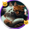 Gatitos tiernos💞5🇵🇪Movi 23