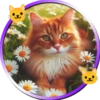 Gatitos tiernos💞5🇵🇪Movi 24