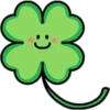 Flores 19