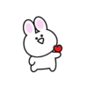 Mini white rabbit mov 19