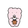 bearxp 2 mov 23