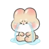 💮🐇 GoRoRoNg RaBbIt 🐇💮 17