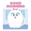 The Secret Life of Pets🐕 24