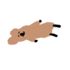 🐀 BrOwN MoUsE 🐀 (Mov) 18