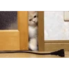 Más Gatitos 10 (Mov) 22