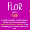 FLOR Significa FLOR Se adapta a cualquier circunstancia, pero odia que la presionen. Es bondadosa, generosa, cariñosas y simpática. Es muy soñadora y cree en el amor para toda la vida.
