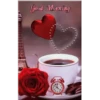 🌞m᥆rᥒіᥒg & 𝖿ᥣ᥆ᥕᥱrs🌹 24