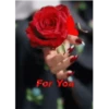 🌞m᥆rᥒіᥒg & 𝖿ᥣ᥆ᥕᥱrs🌹 25