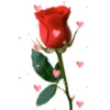 🌞m᥆rᥒіᥒg & 𝖿ᥣ᥆ᥕᥱrs🌹 26
