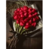 🌞m᥆rᥒіᥒg & 𝖿ᥣ᥆ᥕᥱrs🌹 27
