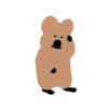 🐀 BrOwN MoUsE 🐀 (Mov) 22
