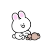 Mini white rabbit mov 24