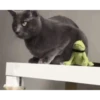 Más Gatitos 10 (Mov) 28