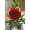 🌞m᥆rᥒіᥒg & 𝖿ᥣ᥆ᥕᥱrs🌹 30
