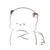 SOFT mov. 6