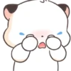 🧿Gatitos Bubu🐱🐈 4