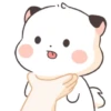 🧿Gatitos Bubu🐱🐈 5