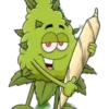 Marijuana 2 7