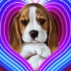 PERRITOS AMOROSOS 7