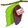 animalitos mov 5