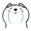 PERRITOS mov 9