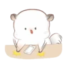 SOFT mov. 11